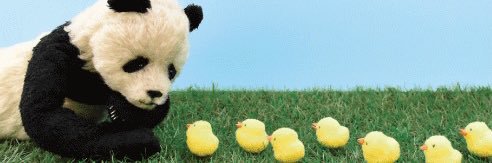 くまねこ 🐯ブログ写真整理中💦 banner