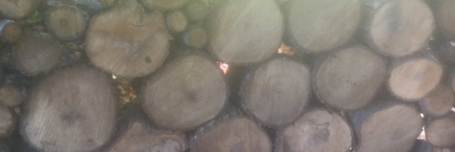 BarryEndicott's profile banner image