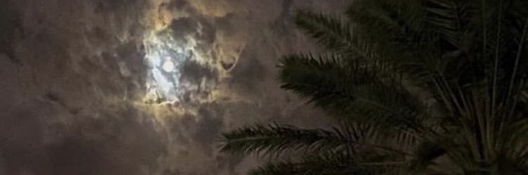 ايه يسطا banner