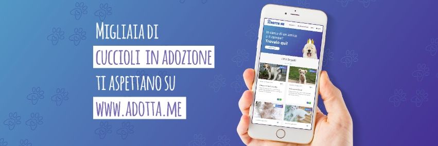 adotta_me's profile banner image