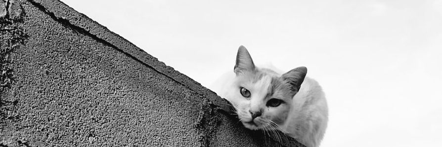 jackiii15's profile banner image