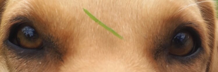 ciara__gray's profile banner image