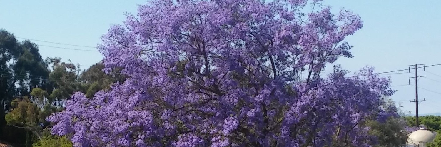 maureen2108's profile banner image