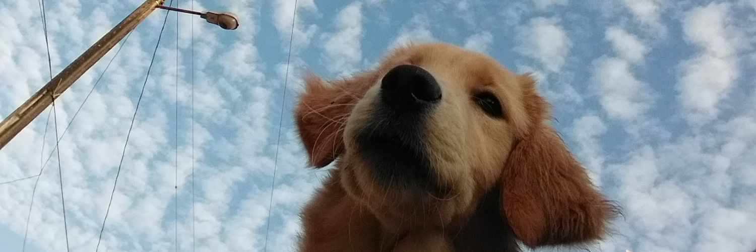 NaidimarVP's profile banner image
