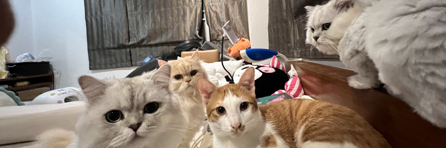 pratcheeze's profile banner image