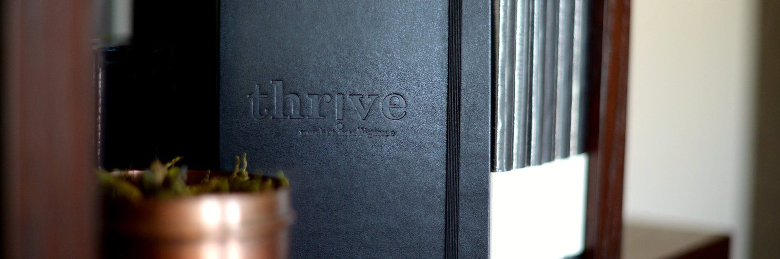 ThriveMI's profile banner image