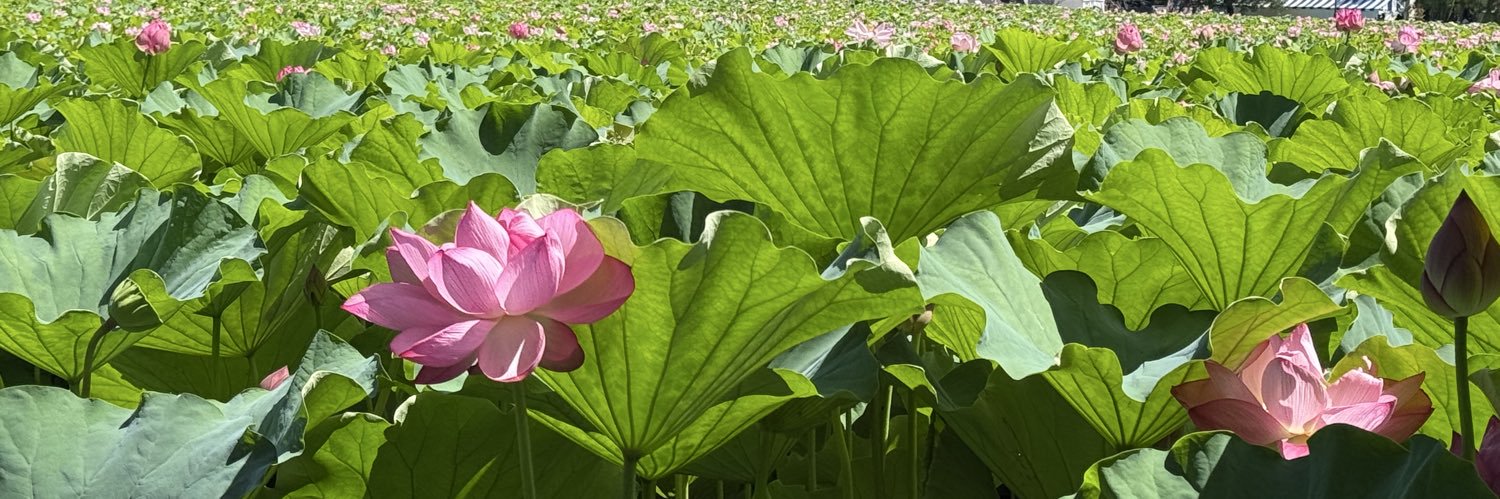 中谷総 banner