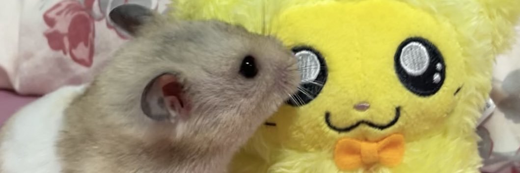 M banner