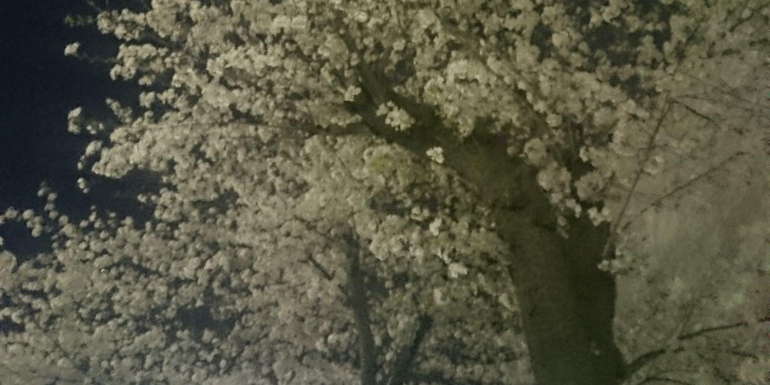 村上裕哉's banner
