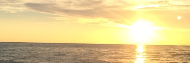 FL_CardDad's profile banner image