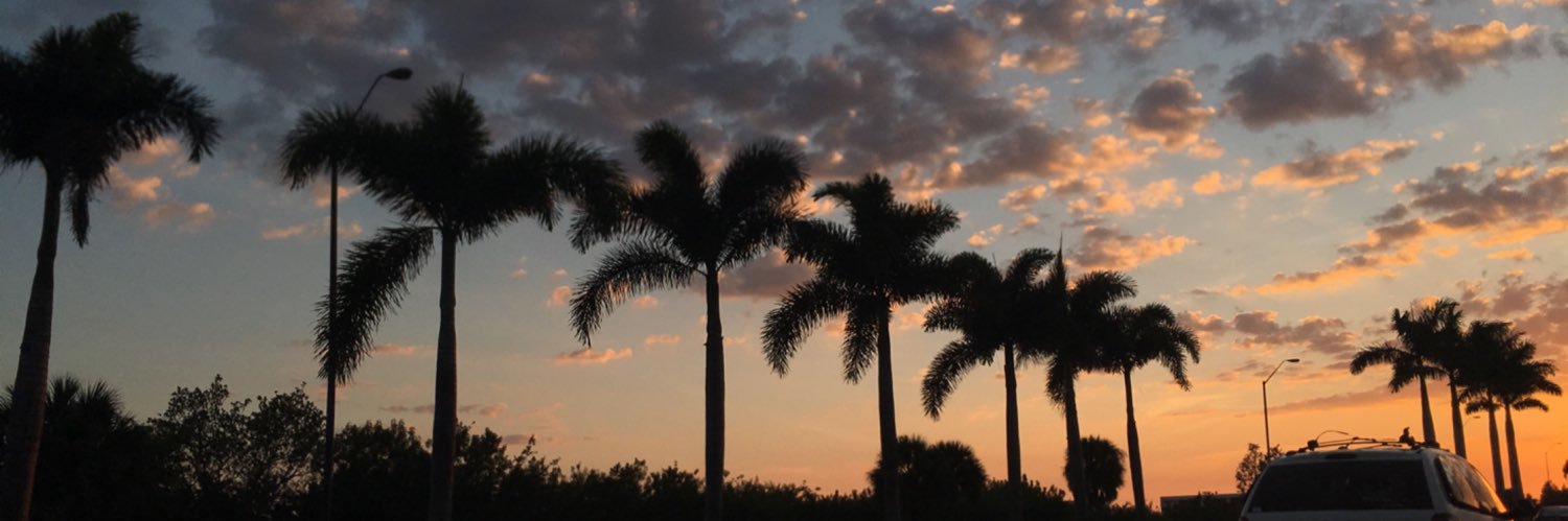 alexisrhines_'s profile banner image