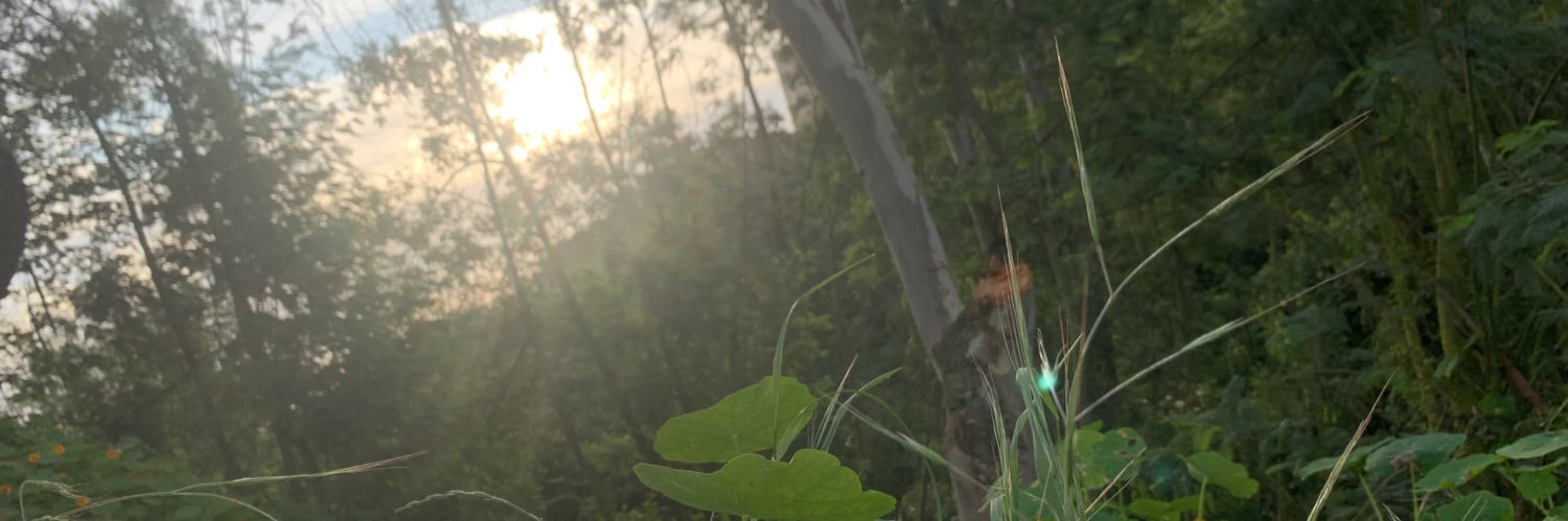 ℙ𝕣𝕚𝕟𝕔𝕖𝕤𝕤 𝕃𝕚𝕝𝕦 ~ 🌙 banner