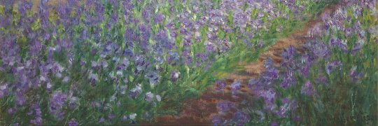 Juliette Halimi banner