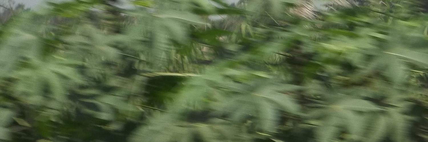 baileybertila's profile banner image