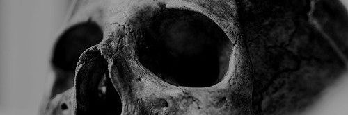 alan48plus's profile banner image
