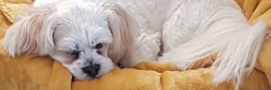 Antony Stuart-Hicks banner