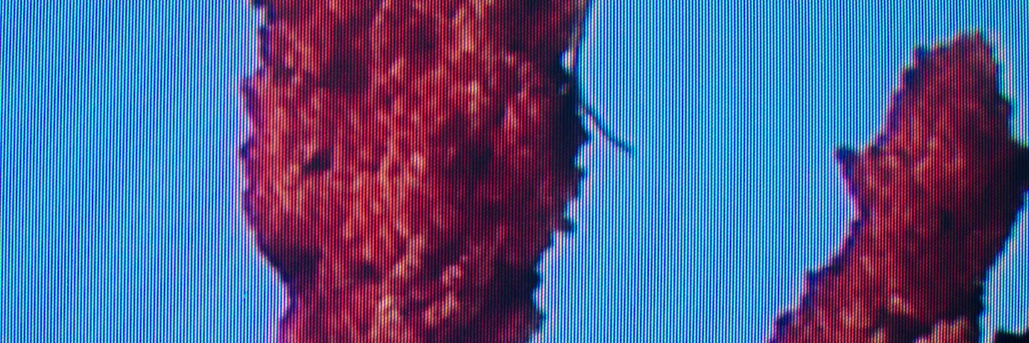 provincialparcs's profile banner image