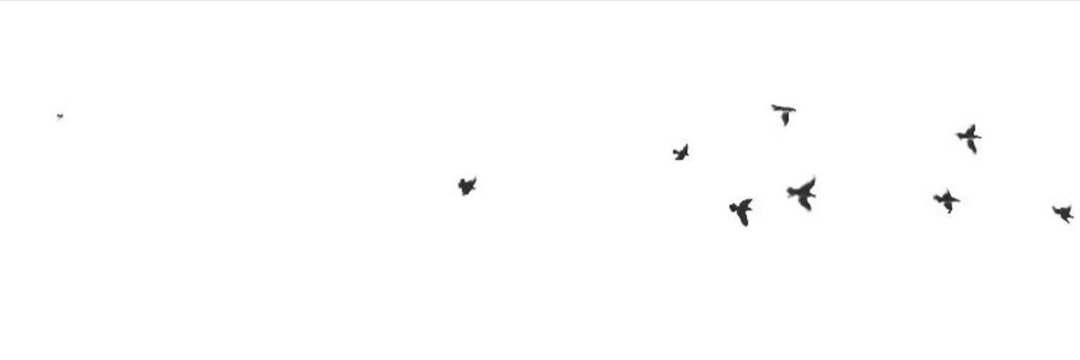 ‏ســـمــــاء‏☻✨ banner