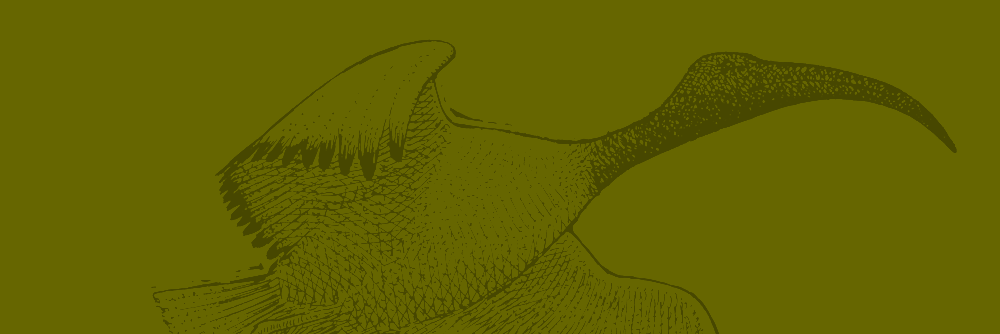 Ibis Communications banner