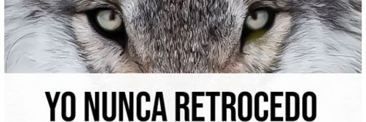 SINDROME-9 REMASTERIZADO!! banner