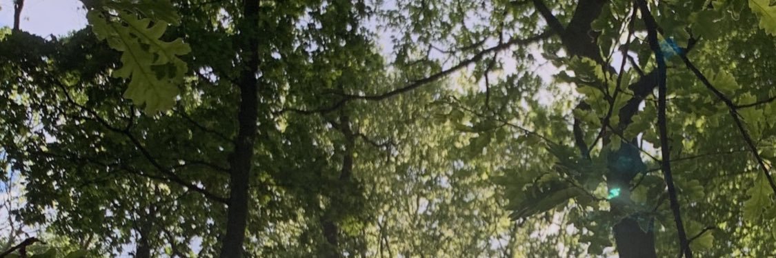 jordanstodd_'s profile banner image
