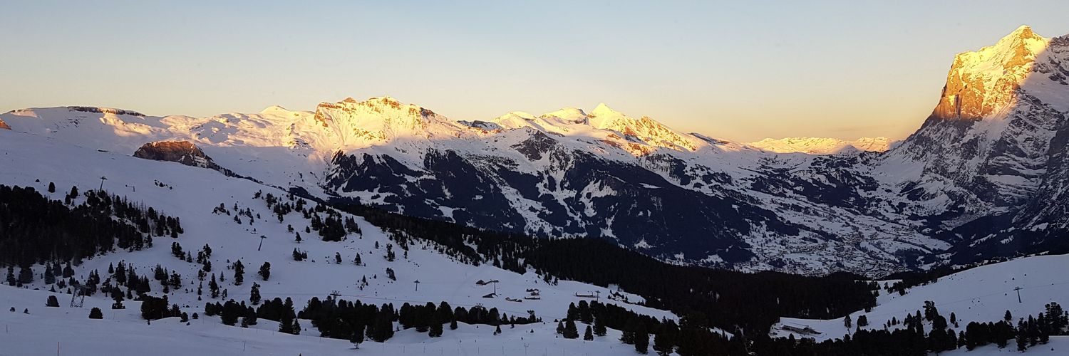 schneefreude's profile banner image