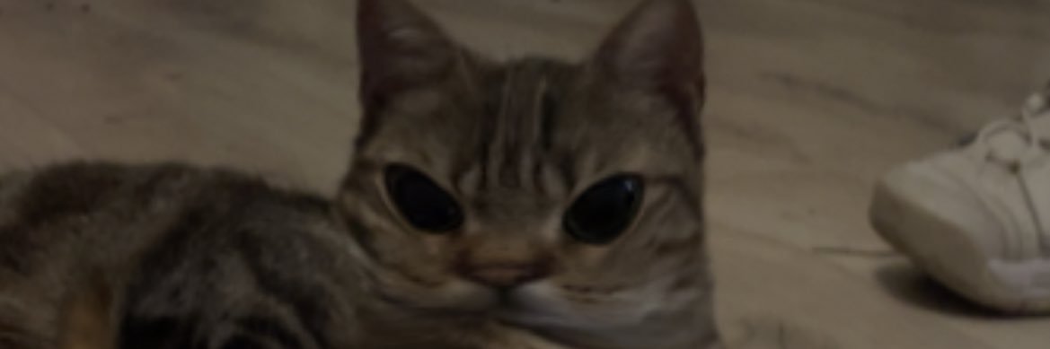AnnaBriantais's profile banner image