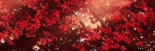 yaekurai's profile banner image