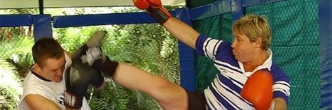 Wheezy banner