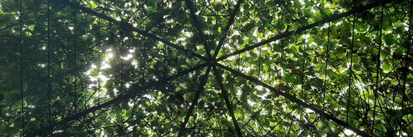 andreacuesta_c Profile Banner