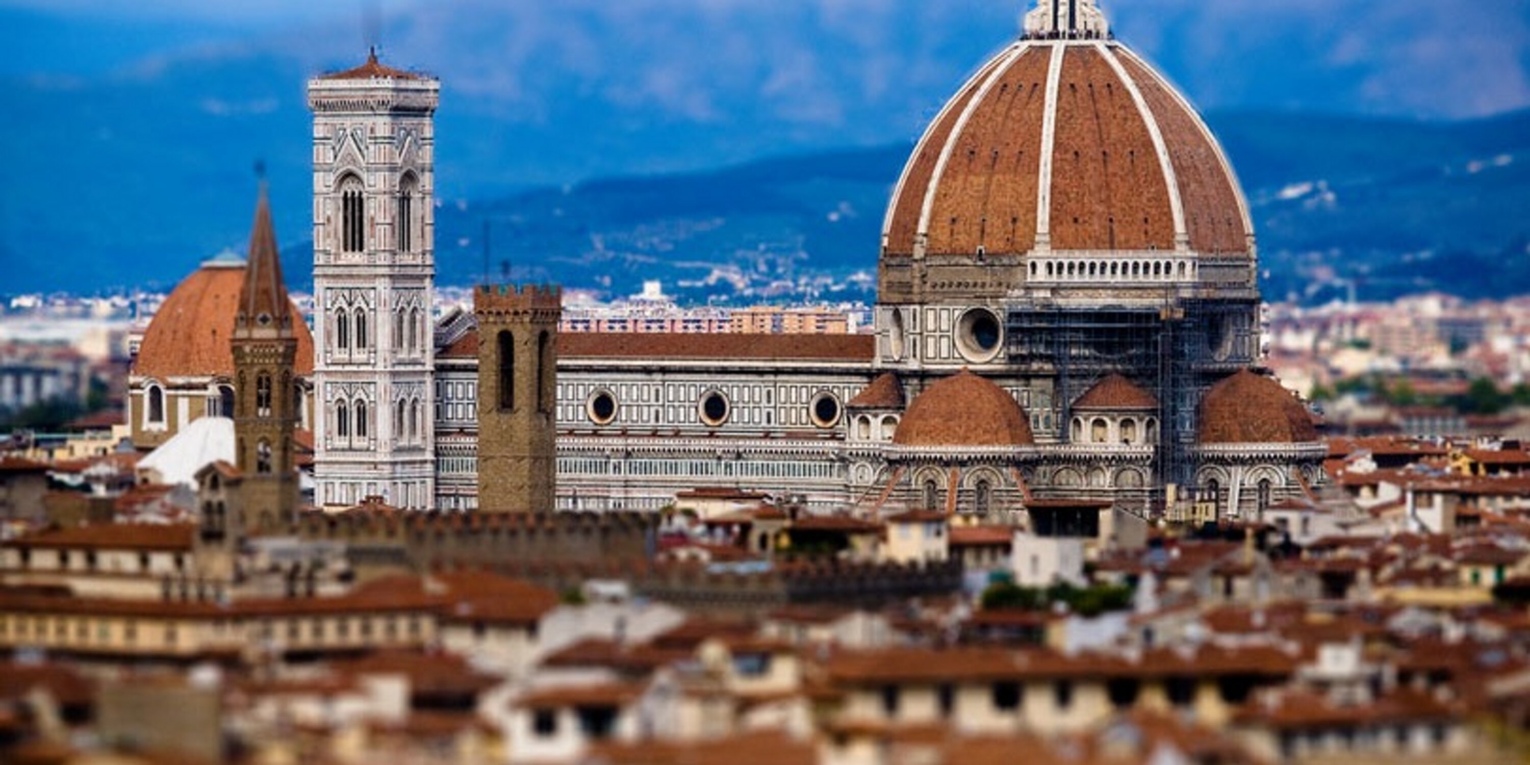 firenze24's profile banner image