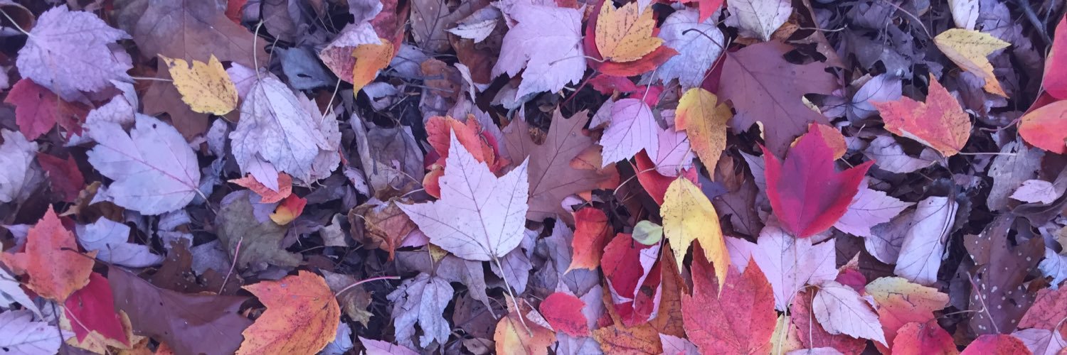 solismuzik's profile banner image