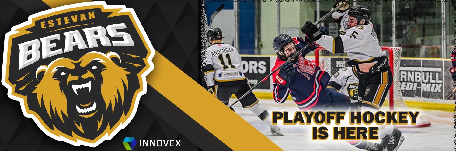 Estevan Bears banner