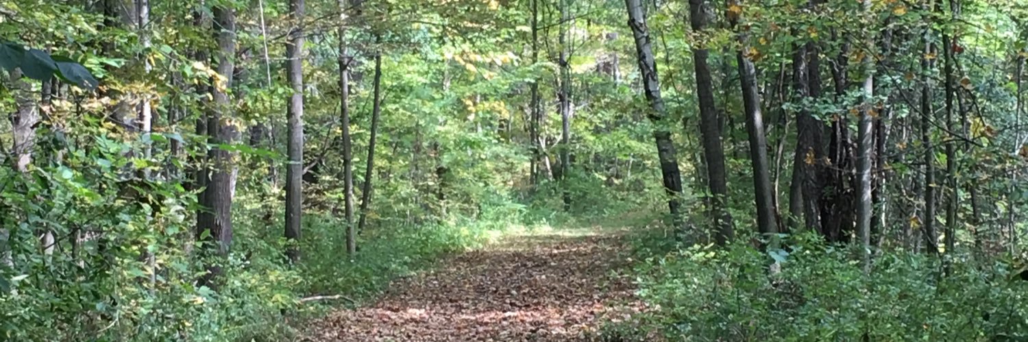 nottheonlyaaron's profile banner image