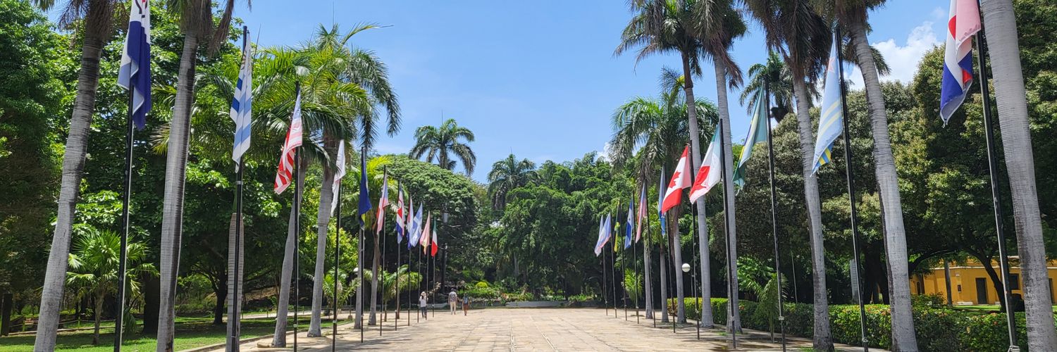 Pink'nsour🐝🐝🐝 banner