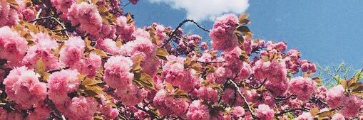 leah98_'s profile banner image
