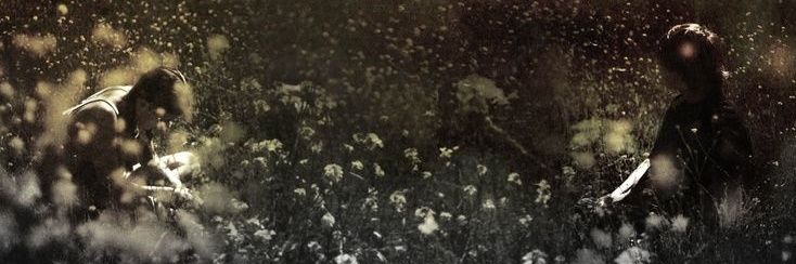ben 📼 banner