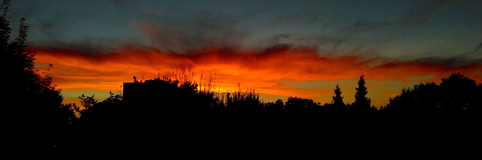 L8nighttracker  banner