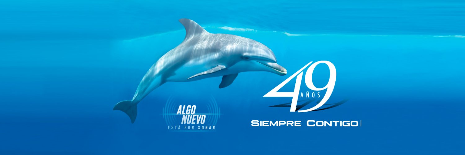 stereocienmx's profile banner image