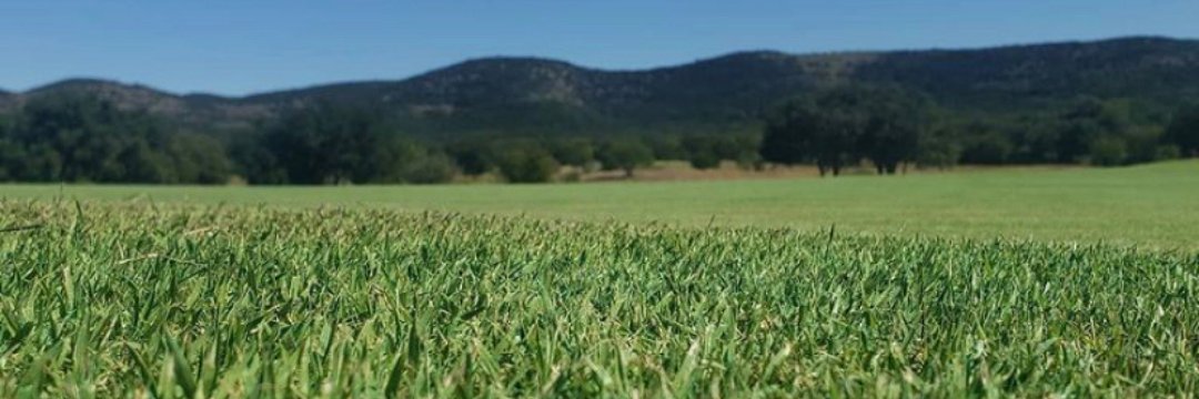 FrioValleyRanch's profile banner image