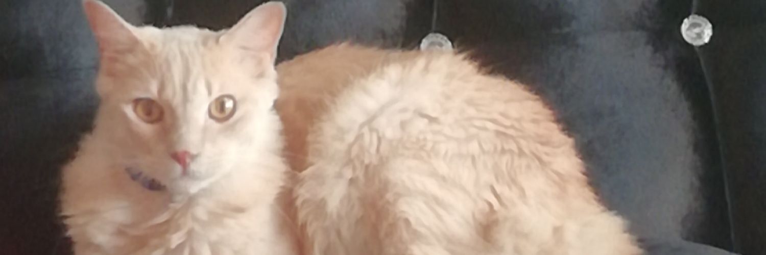 jolopa71's profile banner image