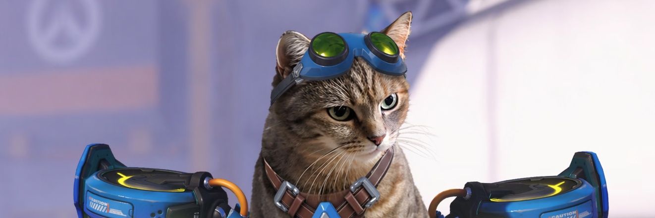 TheDoctorSY's profile banner image