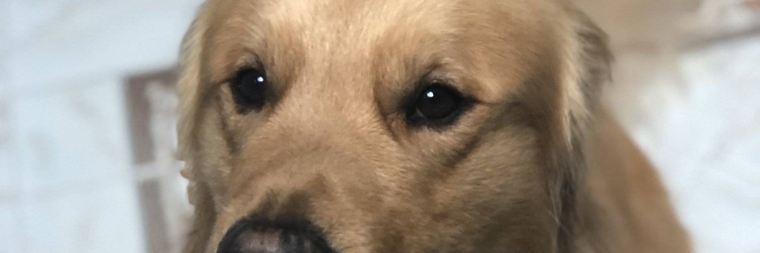 Djtheoc's profile banner image