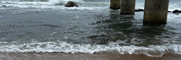 JingerStone Profile Banner