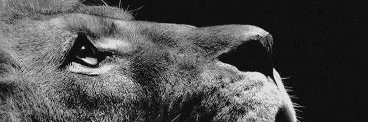 hsm657's profile banner image