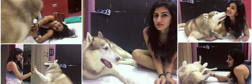 harshachopda's profile banner image