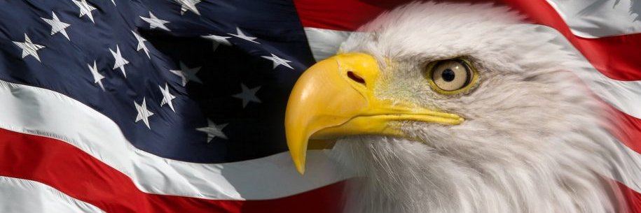 ♥🇺🇲Bev Zimmerman🇺🇲♥ banner