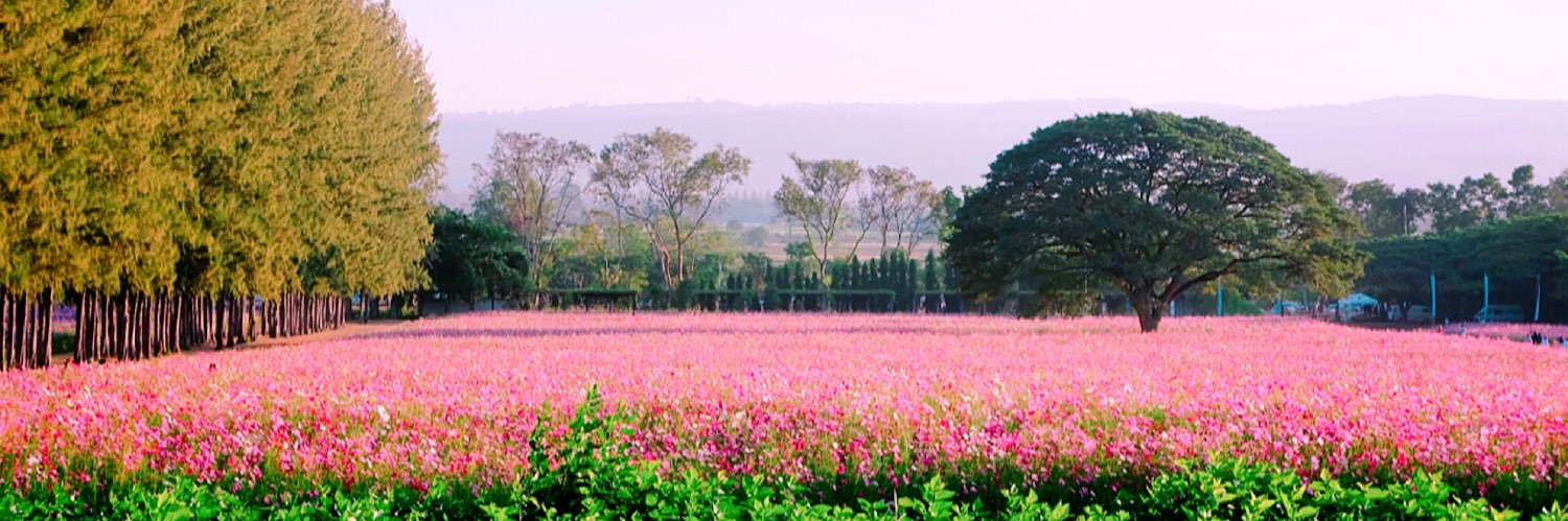 HONEYLemon🍋 banner