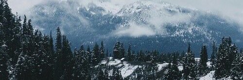 winter banner