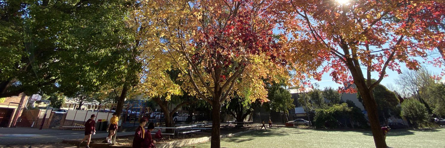 Glebe Public School banner